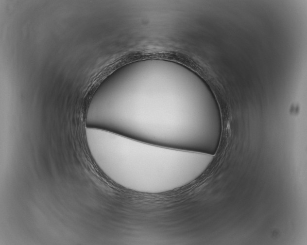X0000114021348200910021007