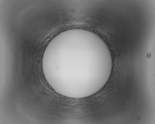 X0000114021349200910021007