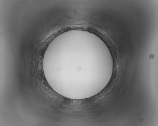 X0000114021350200910021007