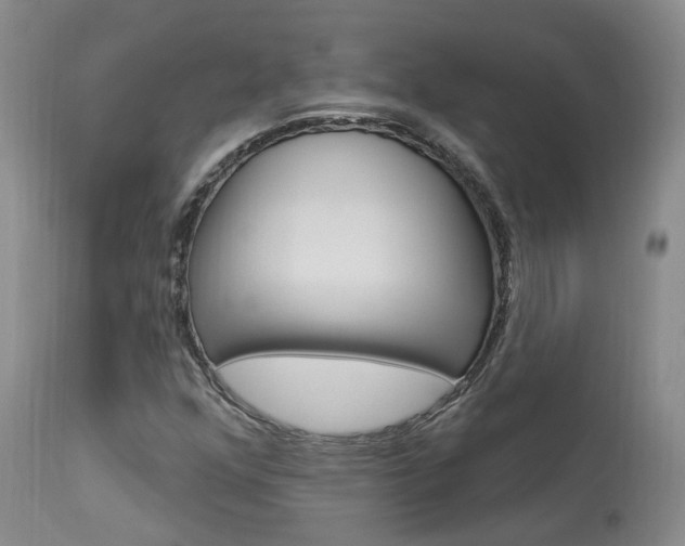 X0000114021352200910021007