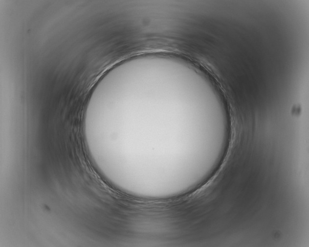X0000114021353200910021007