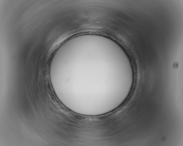 X0000114021354200910021007