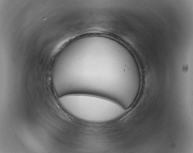 X0000114021355200910021007