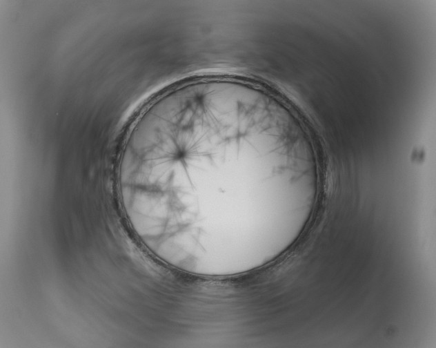 X0000114021356200910021007