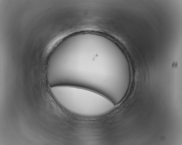X0000114021359200910021007