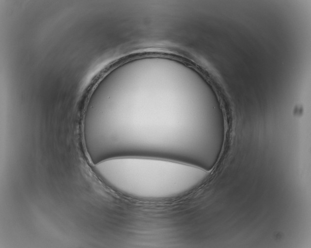 X0000114021360200910021007