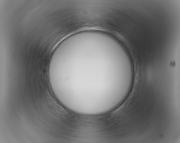 X0000114021361200910021007