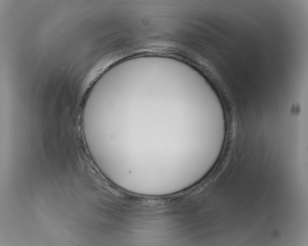 X0000114021362200910021006