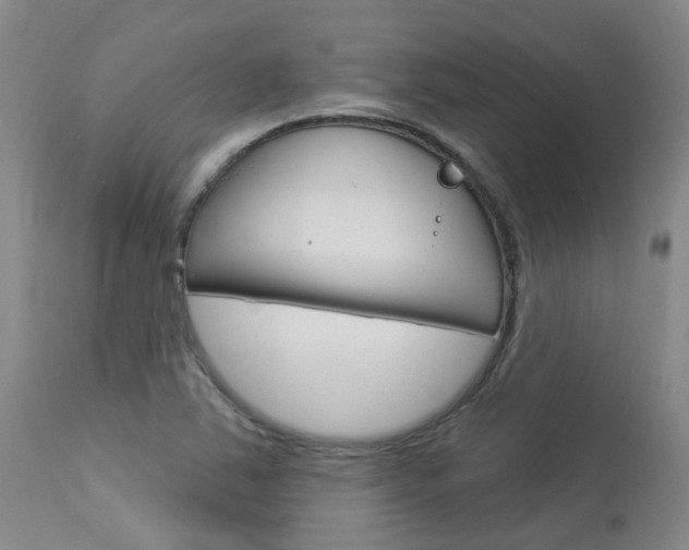 X0000114021363200910021006