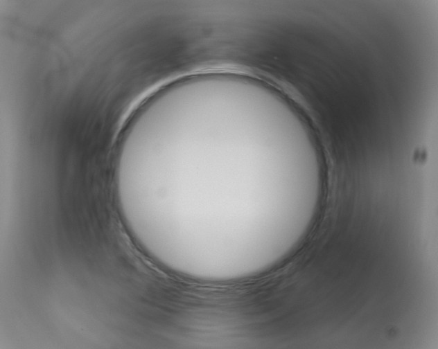X0000114021364200910021006