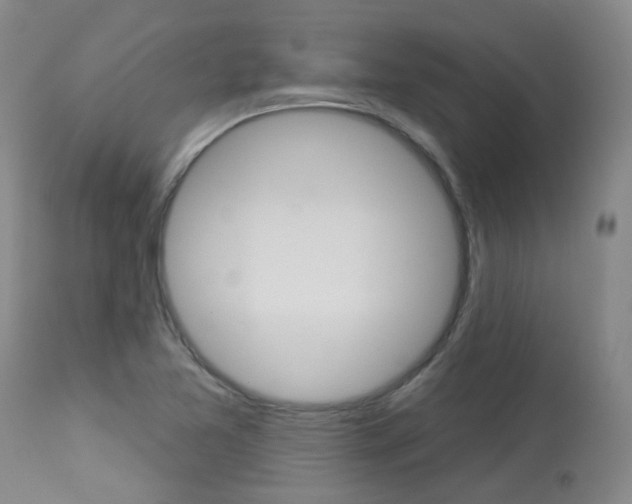 X0000114021365200910021006