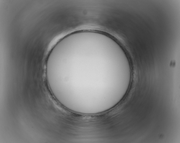 X0000114021366200910021006