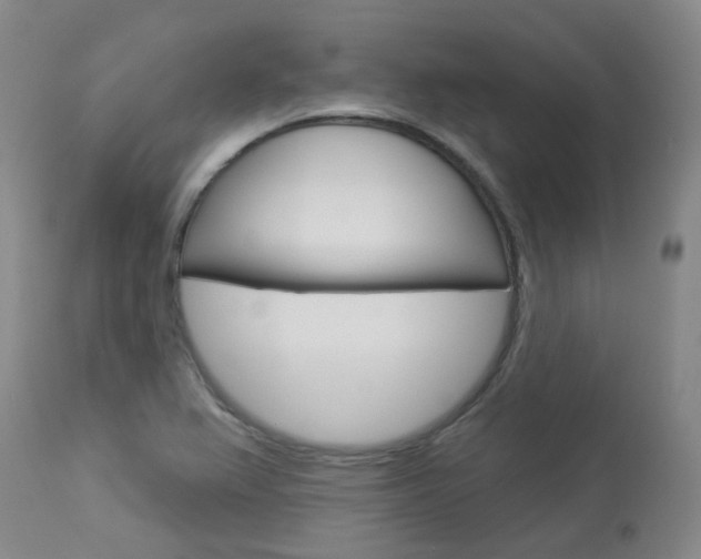 X0000114021367200910021006