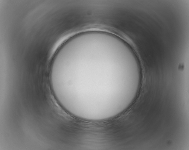 X0000114021368200910021006