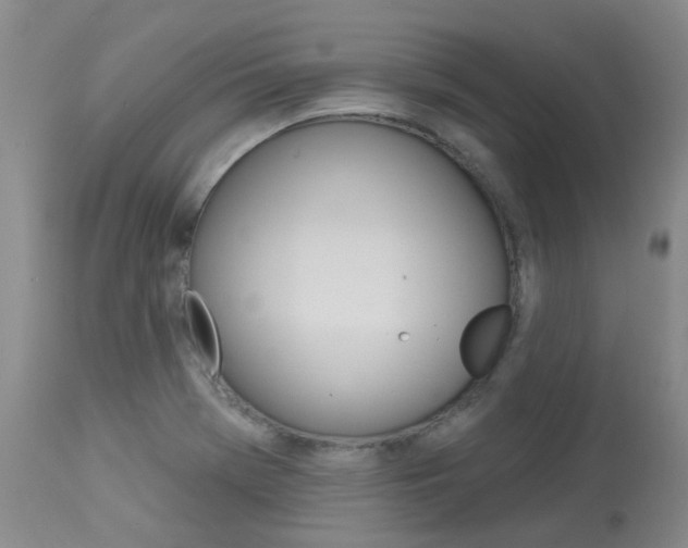 X0000114021369200910021006