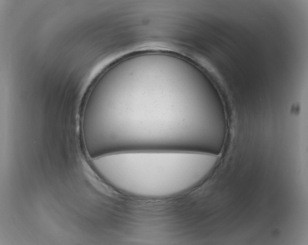X0000114021372200910021006