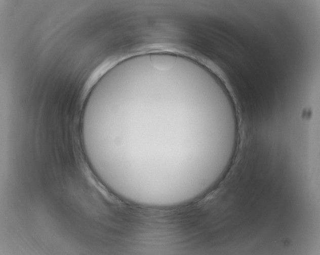 X0000114021373200910021006