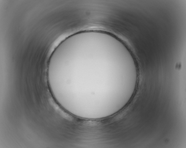 X0000114021374200910021006