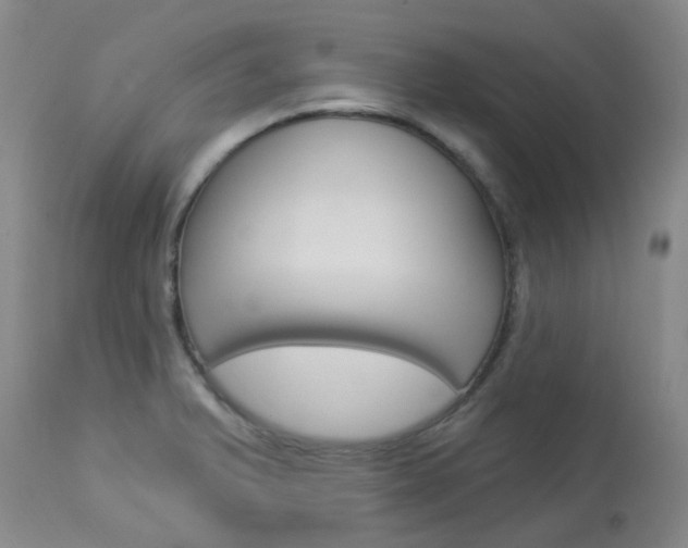 X0000114021375200910021006