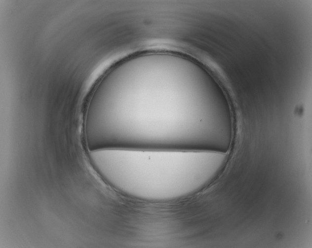 X0000114021376200910021006