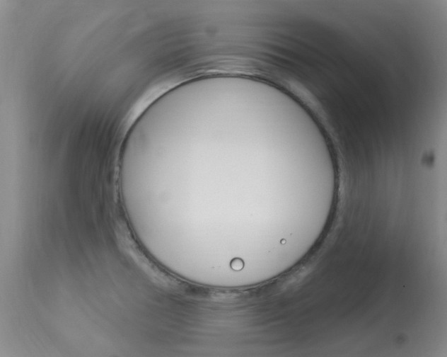 X0000114021378200910021006
