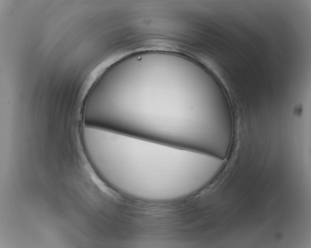 X0000114021379200910021006
