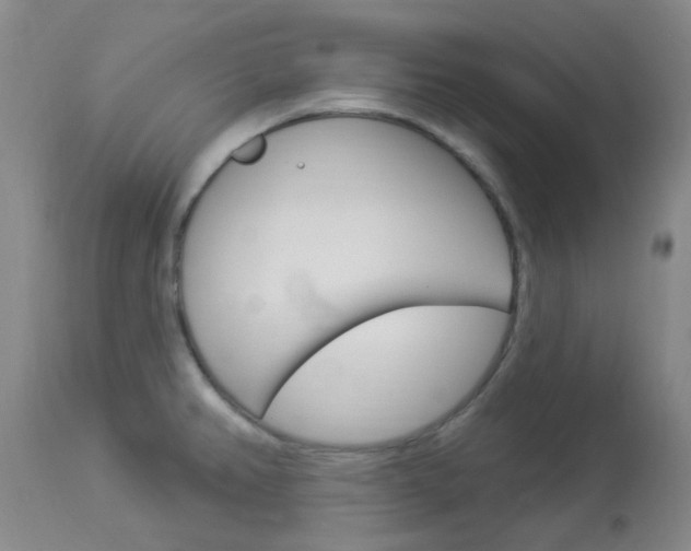 X0000114021382200910021006