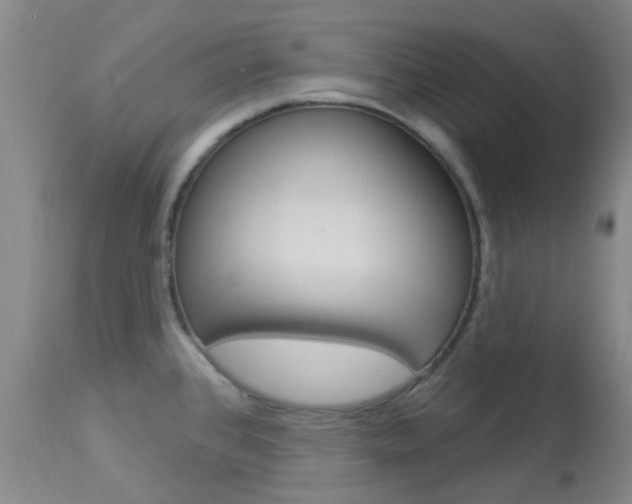 X0000114021384200910021006