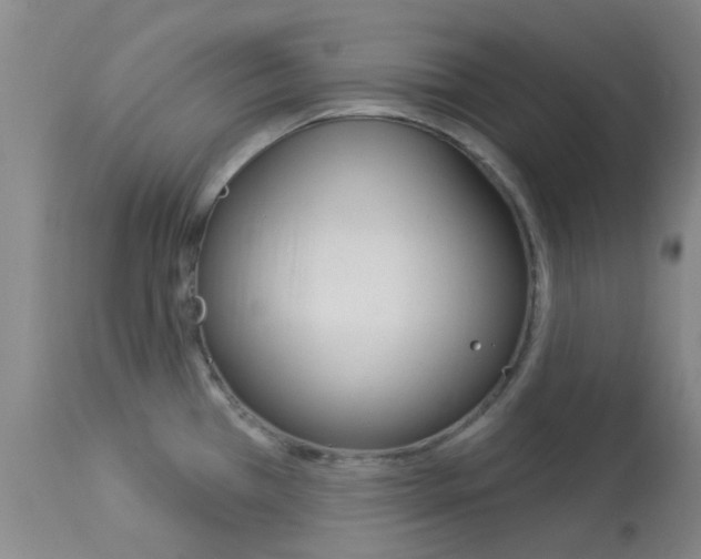 X0000114021385200910021006
