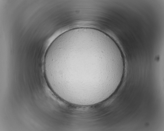 X0000114021386200910021006