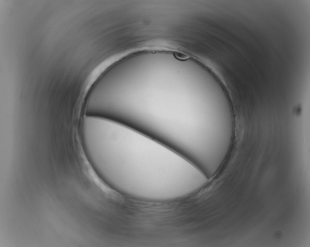X0000114021387200910021006