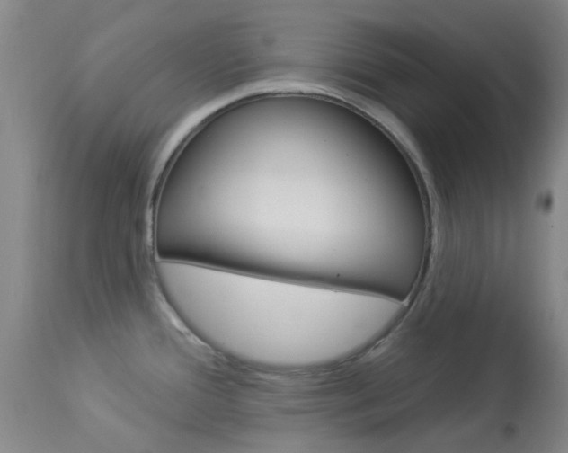 X0000114021388200910021006