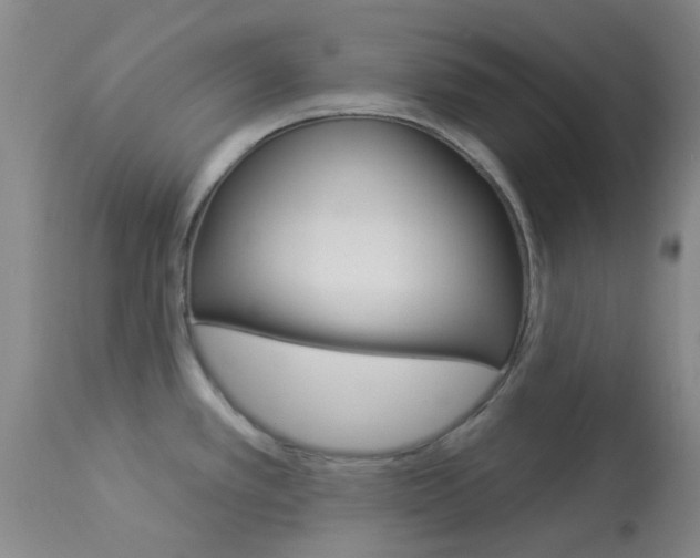 X0000114021389200910021006