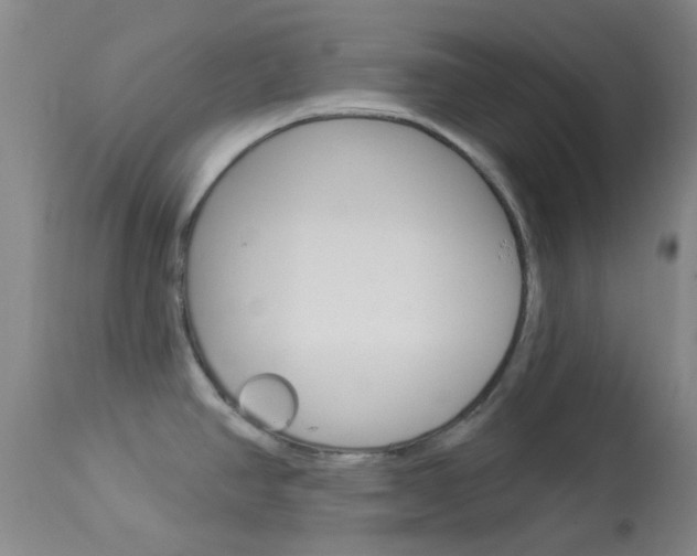 X0000114021390200910021006