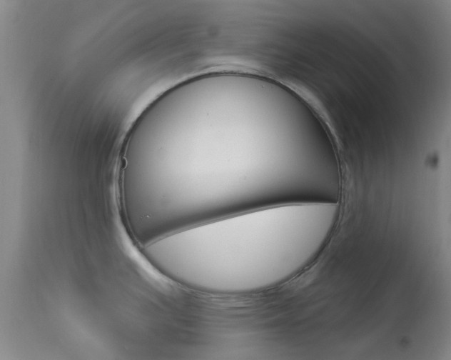 X0000114021391200910021006