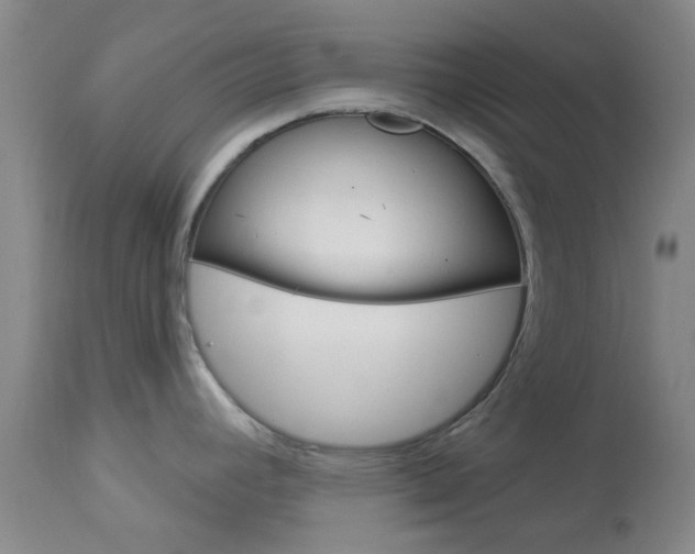 X0000114021392200910021006