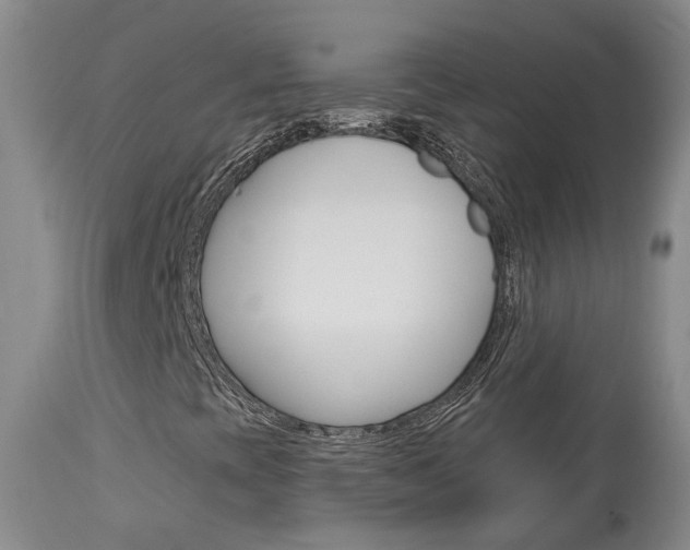 X0000114021393200910021005