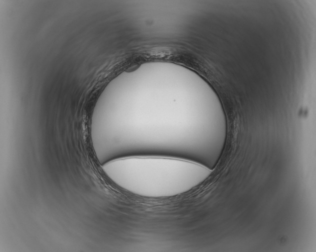 X0000114021394200910021005