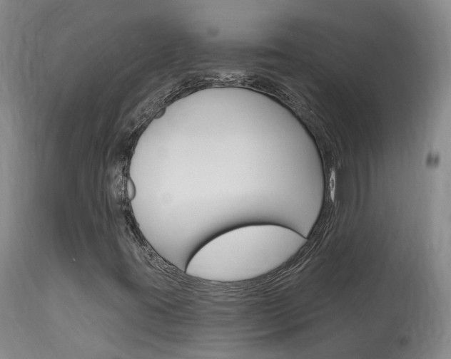 X0000114021395200910021005