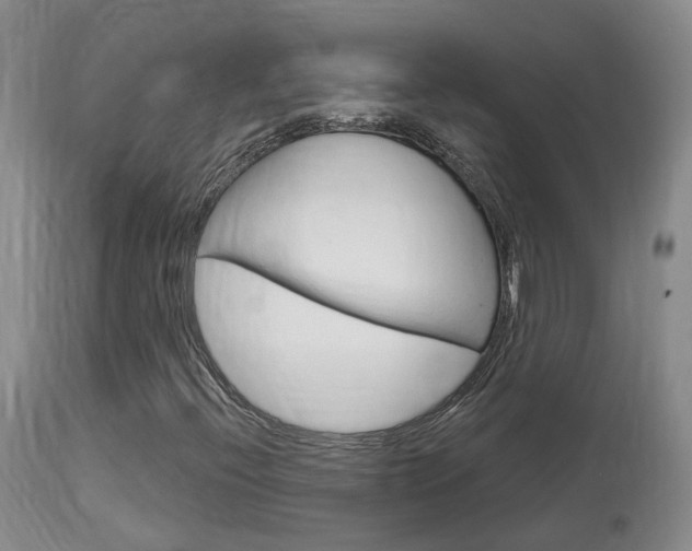 X0000114021396200910021005