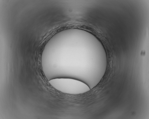 X0000114021397200910021005