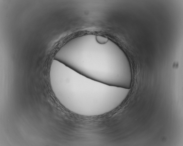X0000114021398200910021005