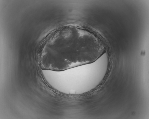 X0000114021399200910021005