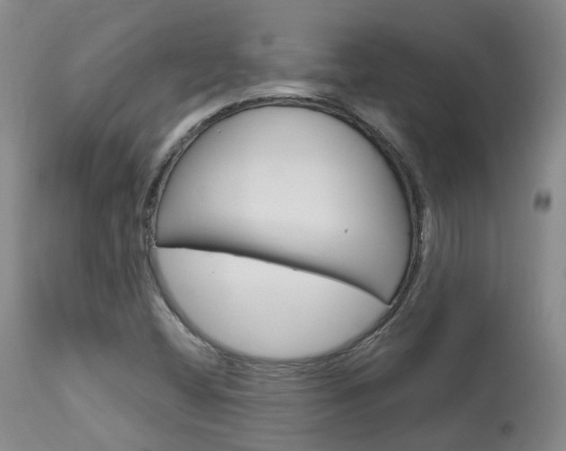 X0000114021404200910021005