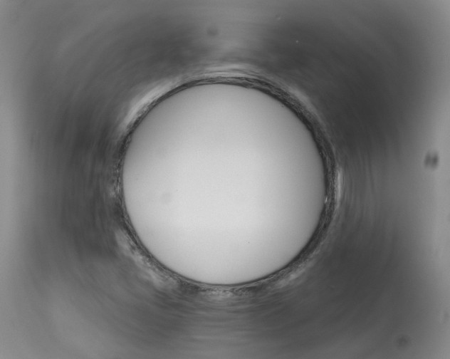 X0000114021405200910021005