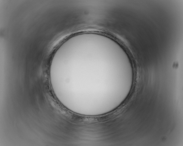 X0000114021407200910021005