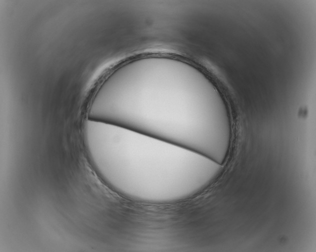 X0000114021408200910021005