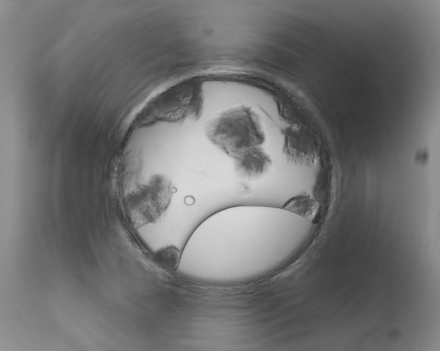 X0000114021409200910021005