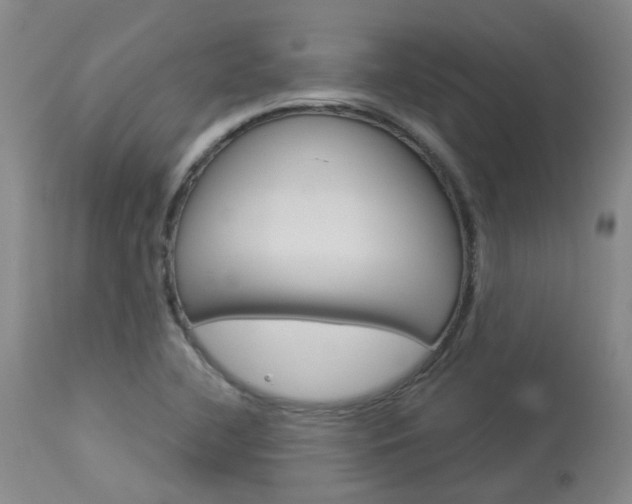 X0000114021412200910021005