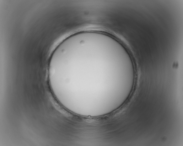 X0000114021413200910021005